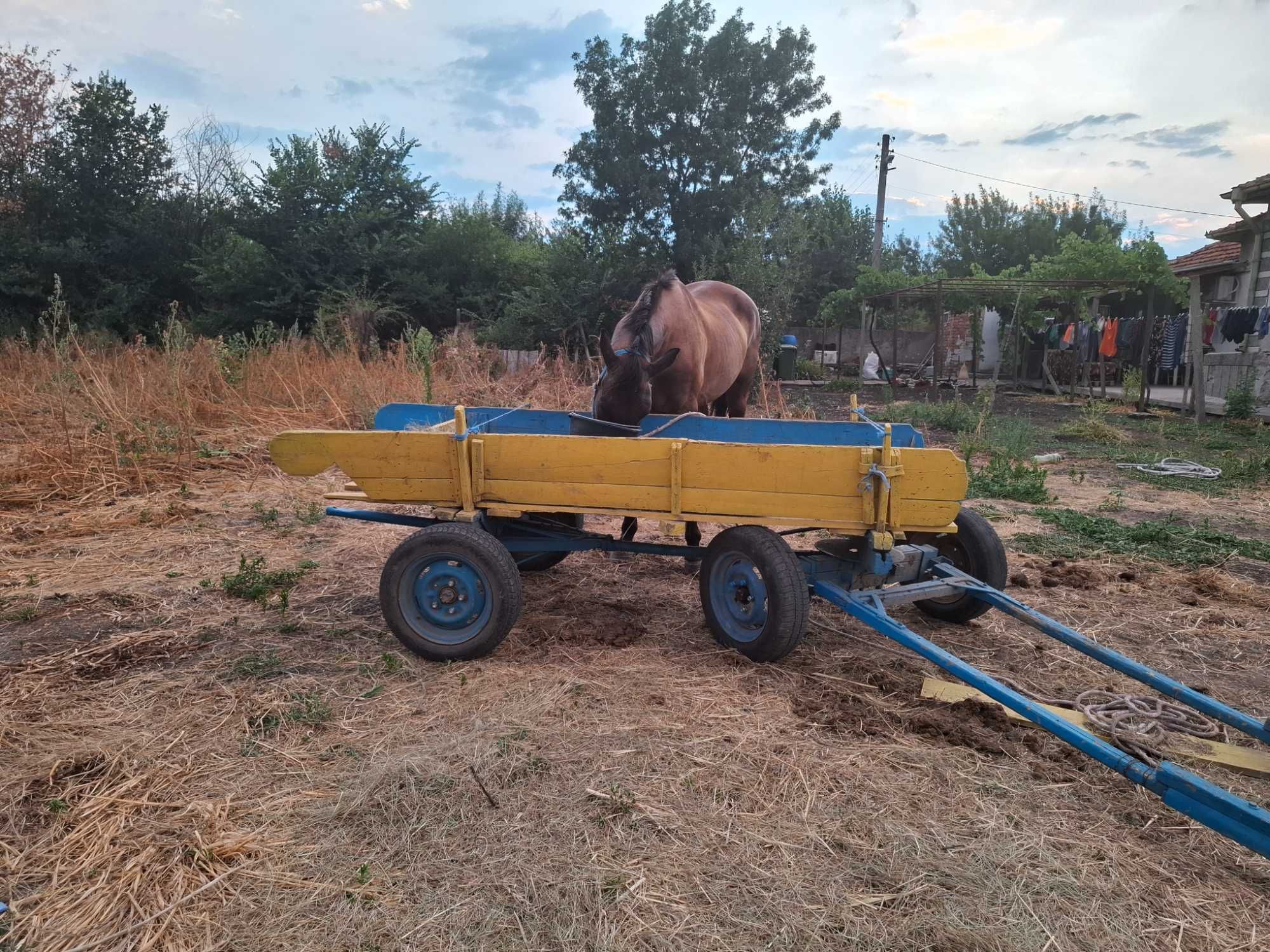Продавам кобила гола със каруца