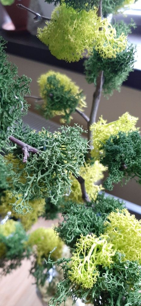 Copăcel decorativ cu licheni stabilizati, 45 cm