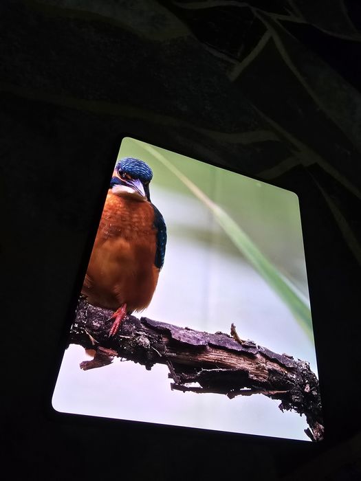 Samsung z fold 5 full комплект