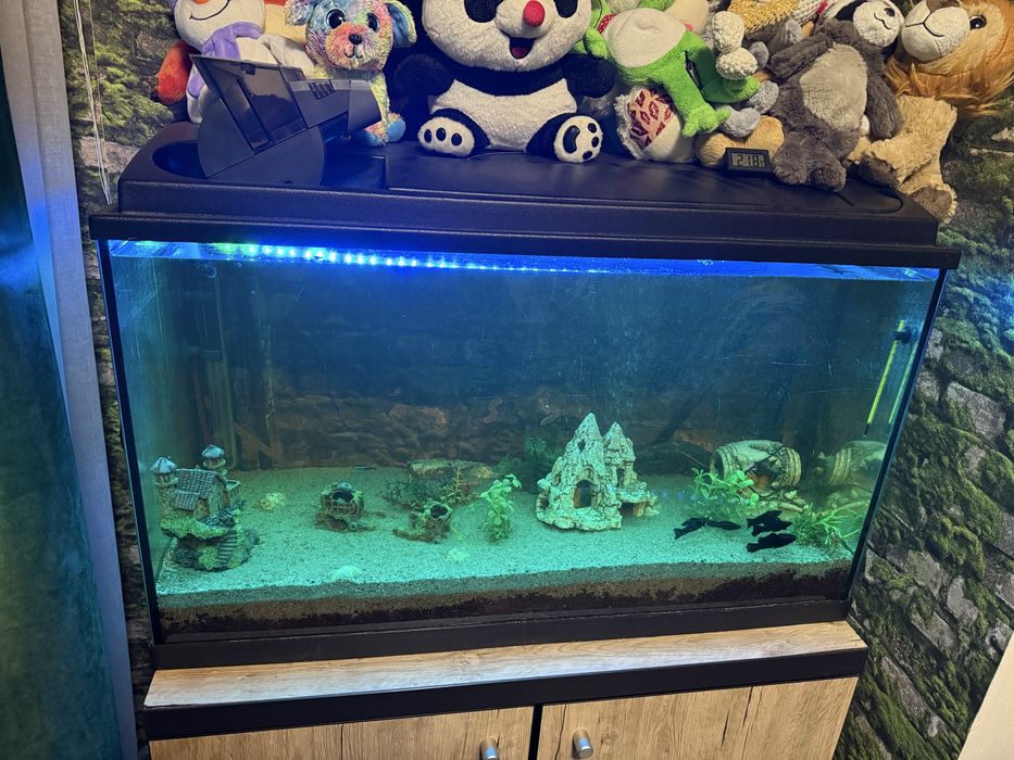 Acvariu 120l complet cu suport