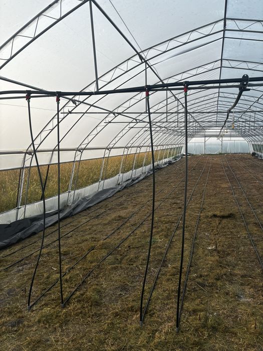 Стопанство за производство на зеленчуци