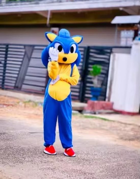 Costum Sonic și alte personaje populare din desene animate