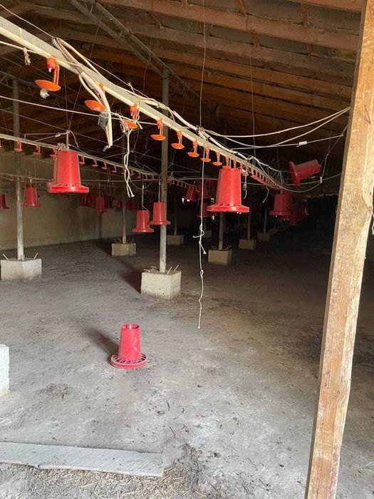 Имеется магазин на первой линии трассы