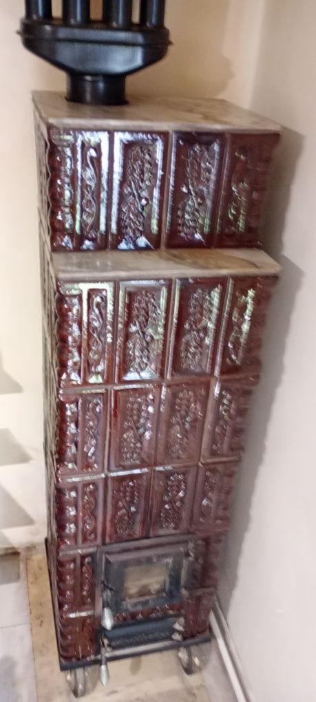 Sobe teracota de un an
