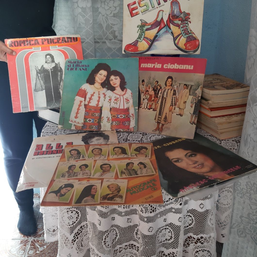 Placi vinil cu artiști renumiti