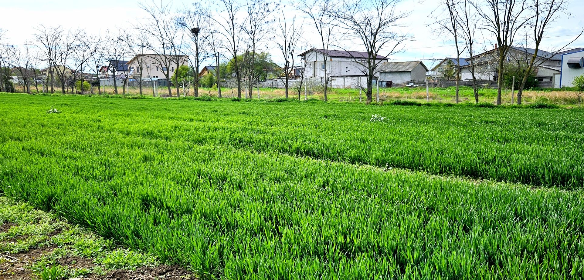 Lot vilă Ovidiu 420m²
