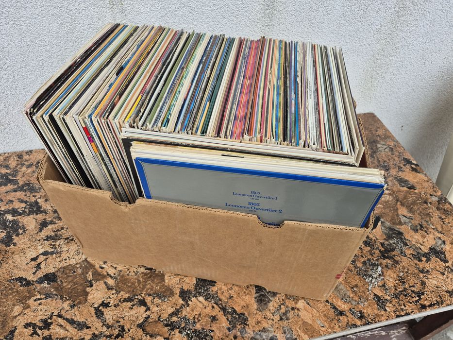 Vând Lot 200lp Discuri Vinil muzică clasică mixta pentru pick up

Arti