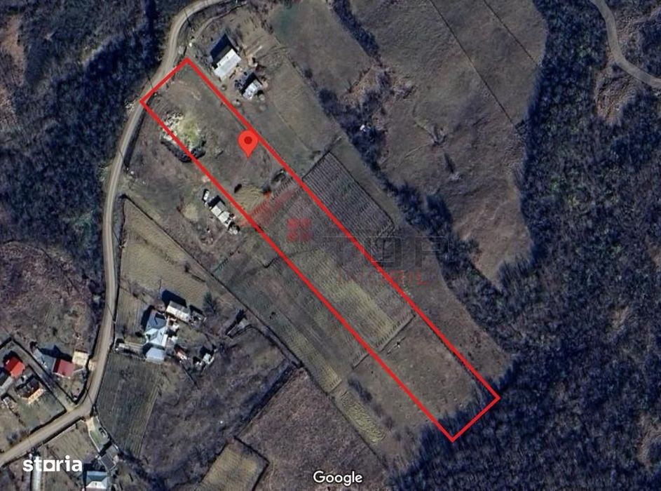 Teren Tomesti 3750MP