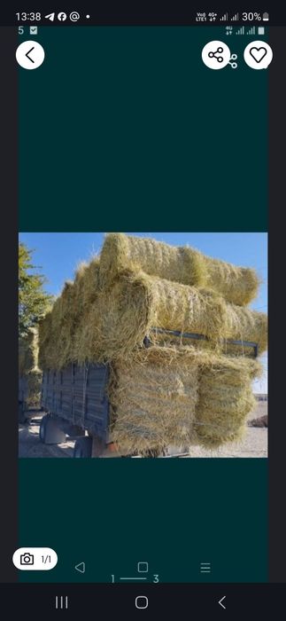 Сено продаём рулон большие