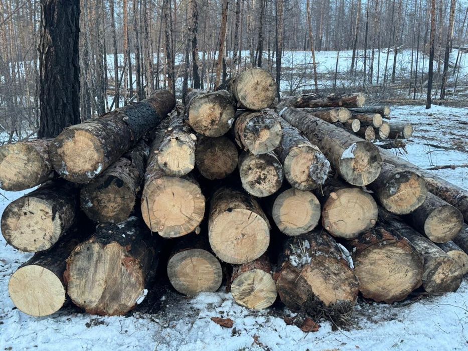 Берёвка,лес,берёвка.