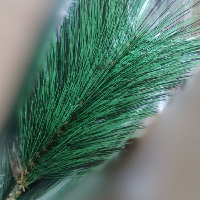 Коледно борче със зелени връхчета