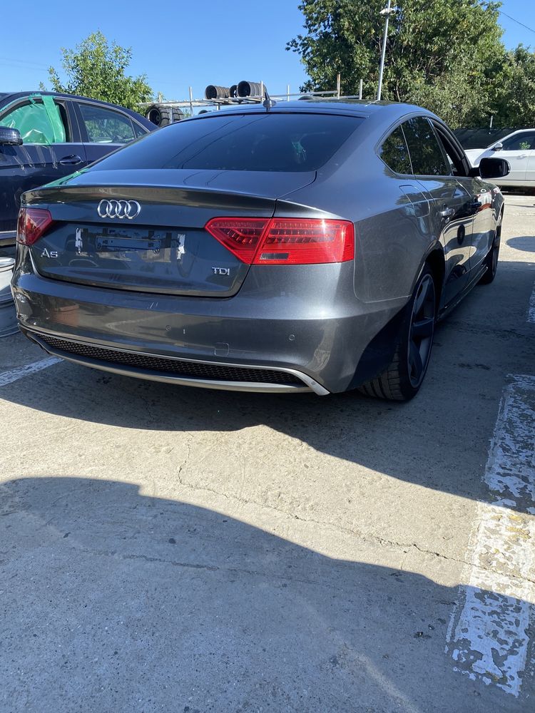 Haion cu lunetă Audi A5 2014