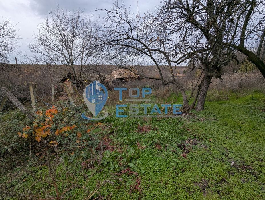 Голям парцел със стара къща в с. Балканци, общ. Стражица, обл. В.Търн