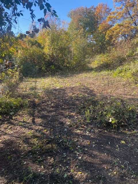 Дворове и парцели поддръжка - Рязане на храсти и дървета - Извозване