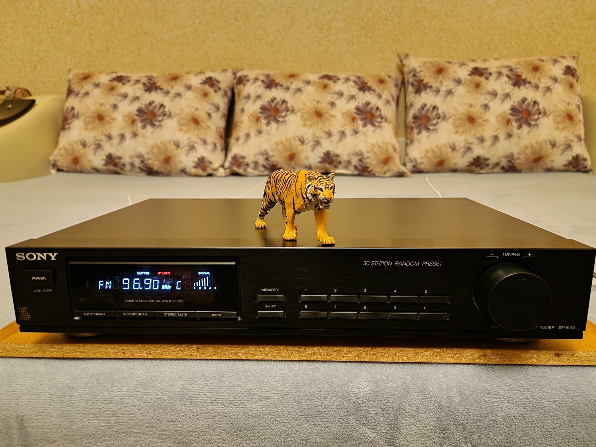 Sony ST-S110. Tuner superb. Estetică de raft.