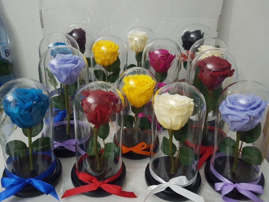 Cadou trandafir criogenat cupola sticla
