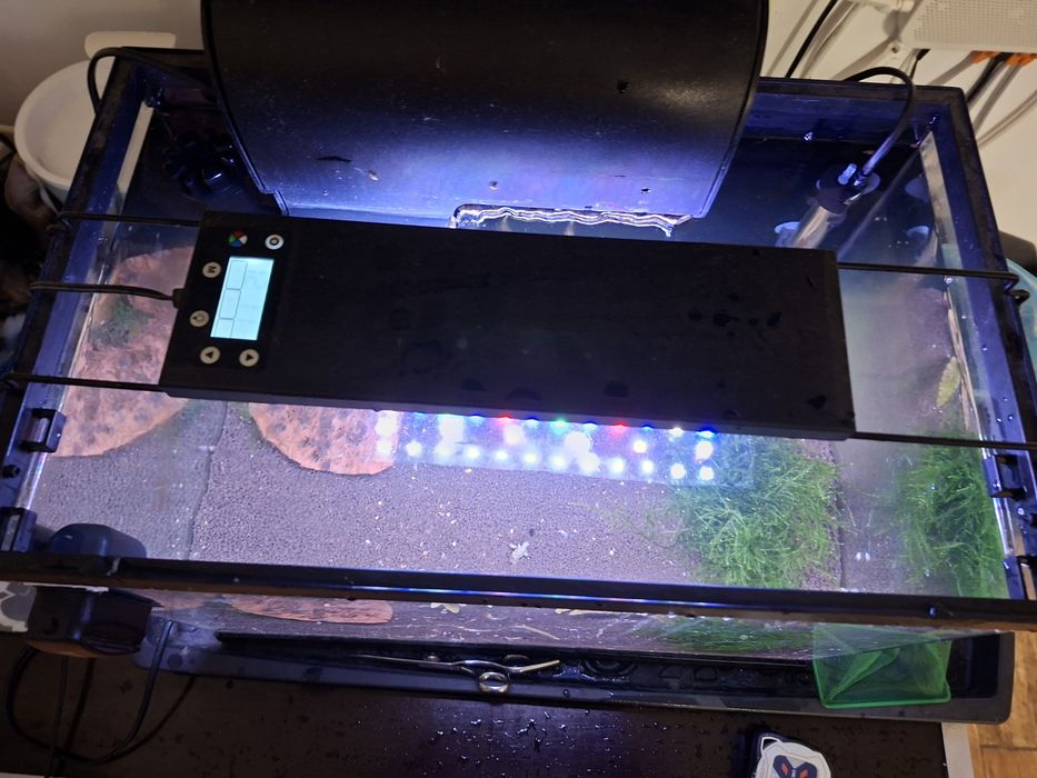 Vand acvariu si accesorii