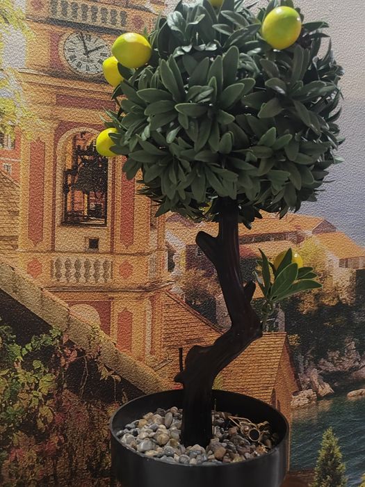 Лимонное дерево для интерьера