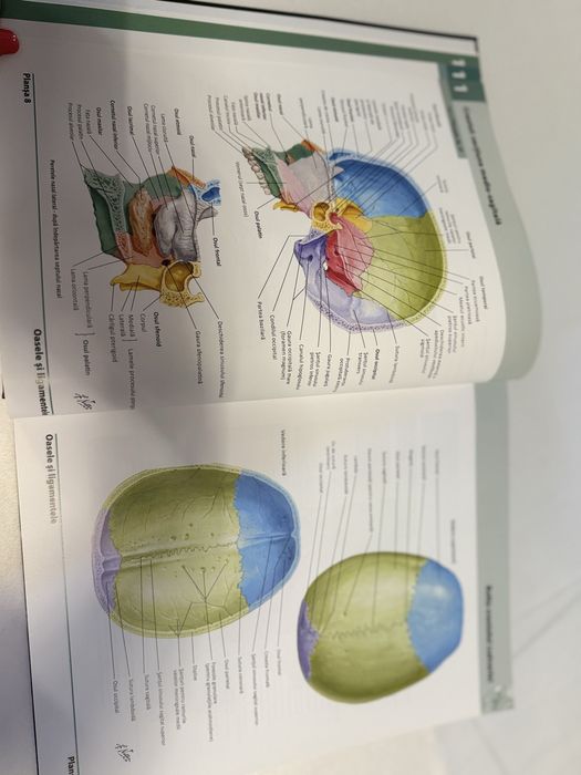 Vând Atlas de Anatomie a Omului