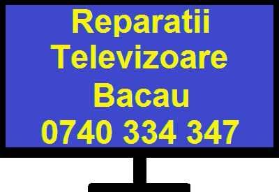 Reparatii Televizoare Bacau