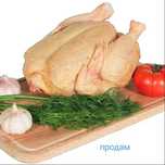 Продам мясо бройлера домашнего