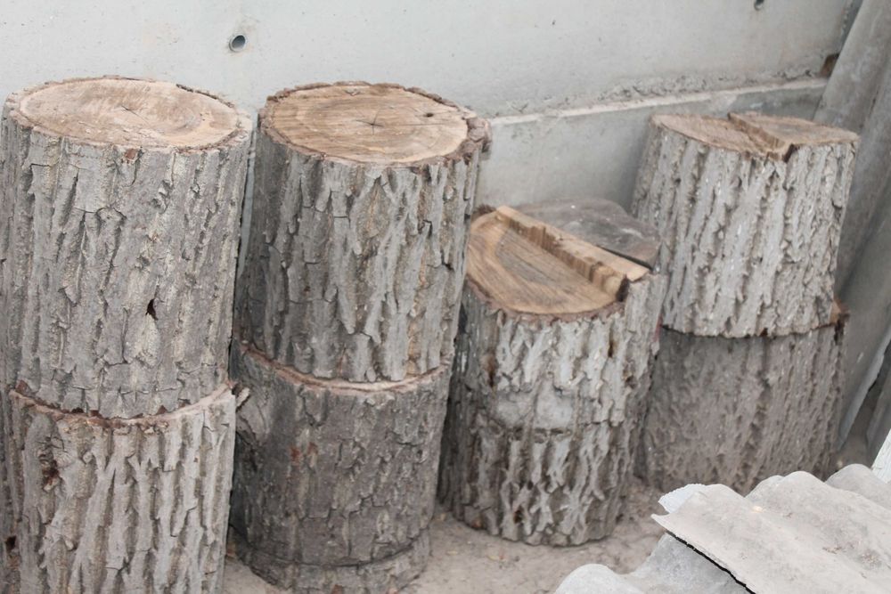 енгок ва тут дарахтларни кесилган танаси ва калин шохлари