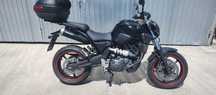 Yamaha mt 03 2009