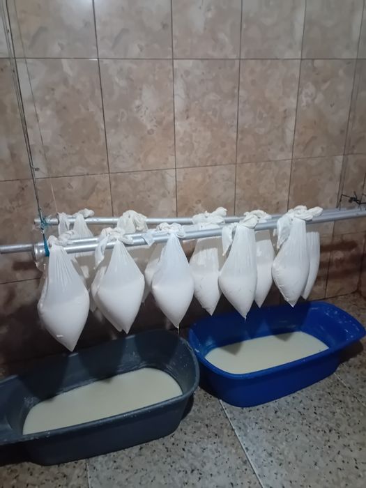 Branza veche de oaie