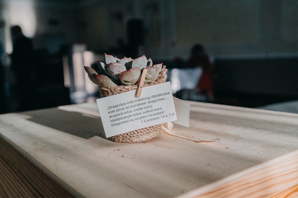 Mărturii Nuntă plante suculente