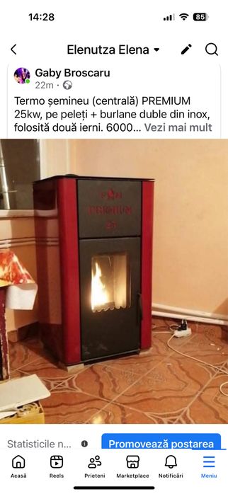 Termosenineu(centala ) pe peleti