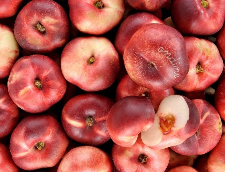 Pomi fructiferi deosebiti  Nectarin plat lapos