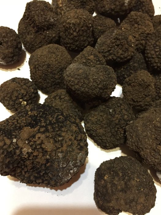 Трюфели, паста и зехтин с трюфели за обучение на кучета