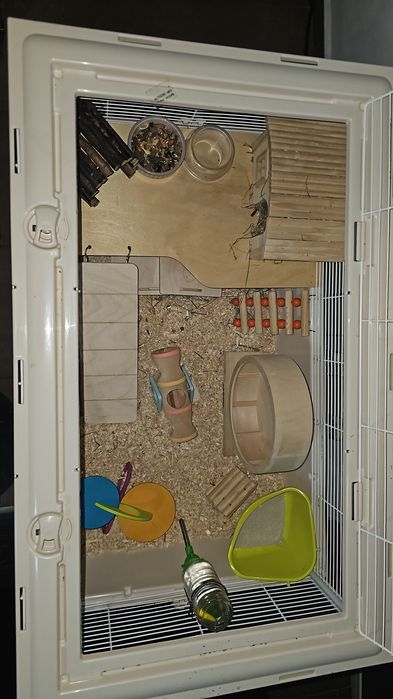 Cușcă Mare Rozătoare (77x47cm) - Echipată COMPLET