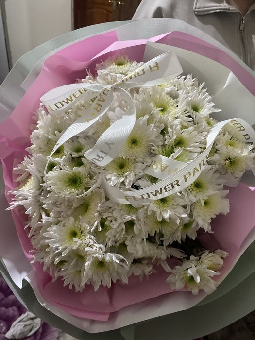 гул бүгінгі свежий