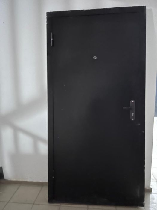 Дверт входная железная