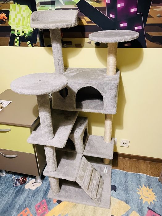 Cronos - motanul jucaus