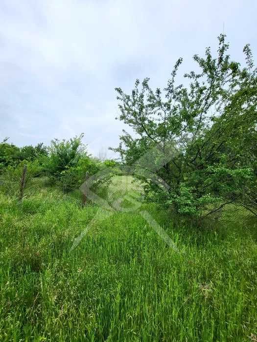Парцел с. Върбен 65264