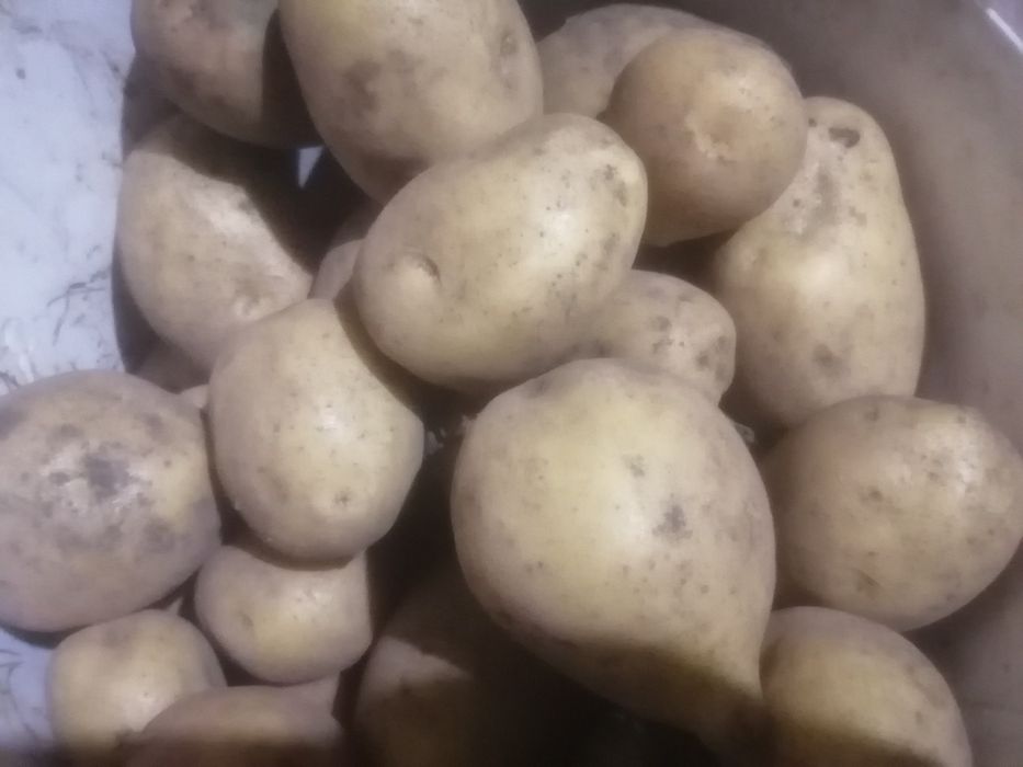 Сад, огород, дом