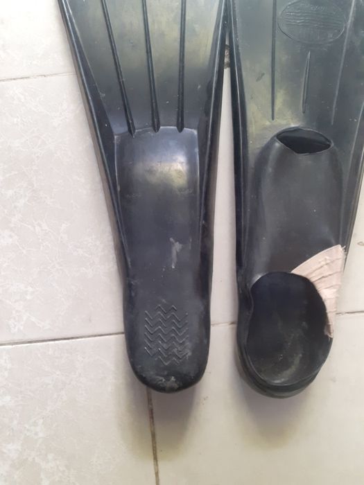 Стари плавници,,Делфин,,