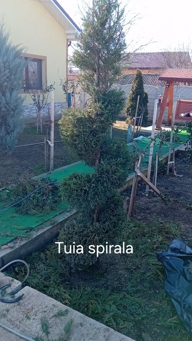 Amenajări grădini de la zero