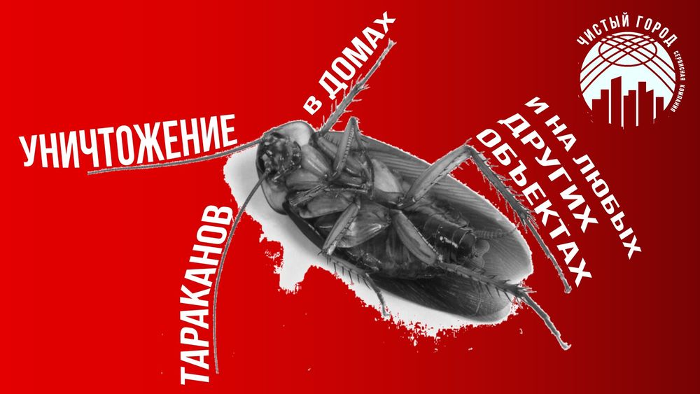 ДЕЗИНСЕКЦИЯ в городе Атырау