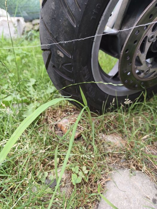 Vând Honda pantheon