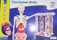 Научен детски комплект Човешкото тяло/Скелет/ДНК/The human body