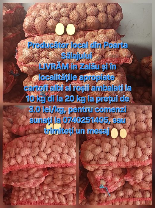 Vând cartofi 3 lei/kg si porumb 1,2 lei/kg