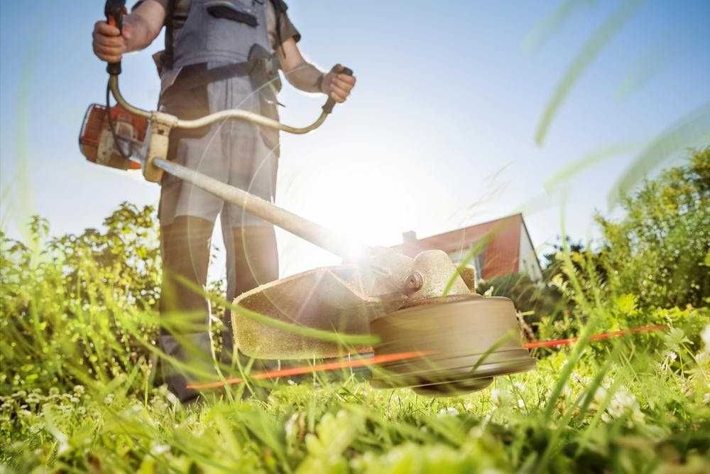 Tuns iarbă, cosit, curățenie generală – Județul Iași