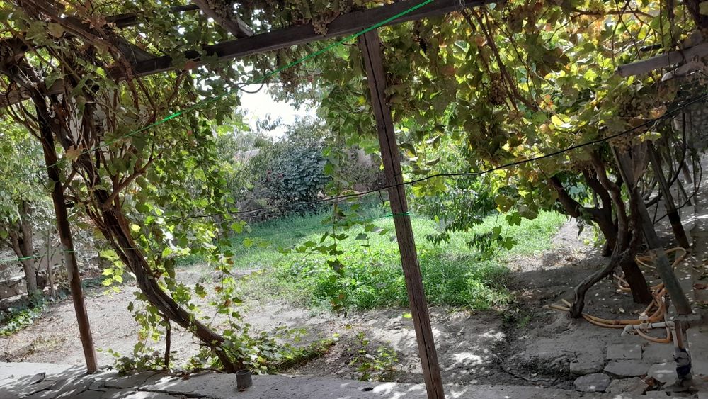 Участка ижарага берилади