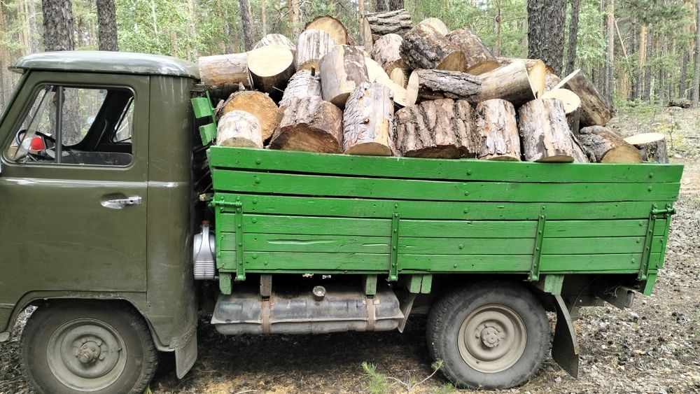 дрова сосна 3куба