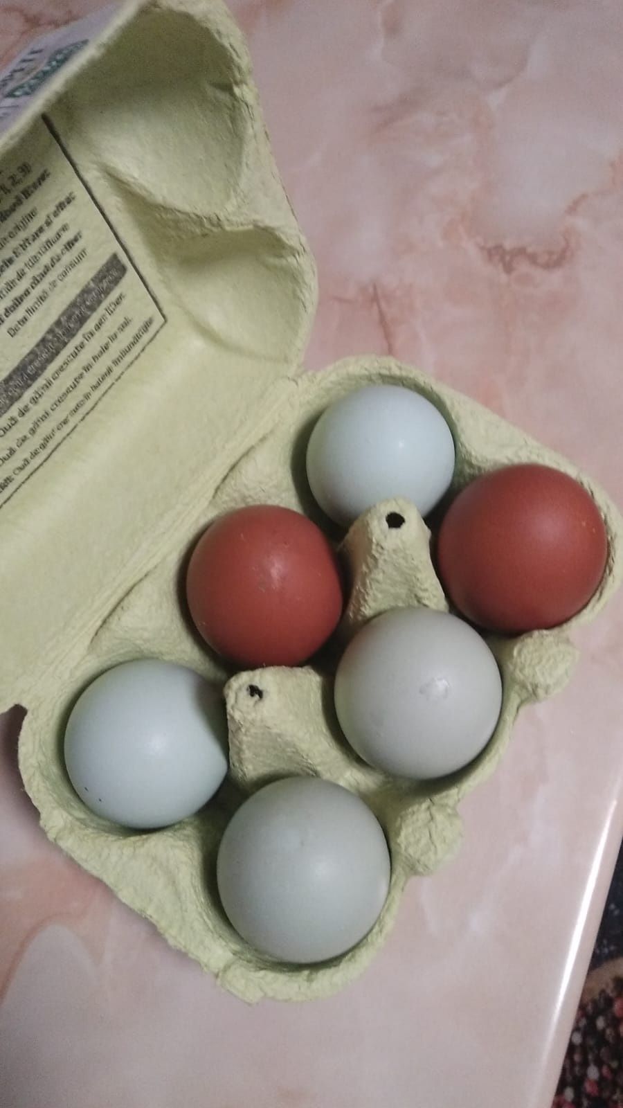 Ouă araucana si marans pentru incubat