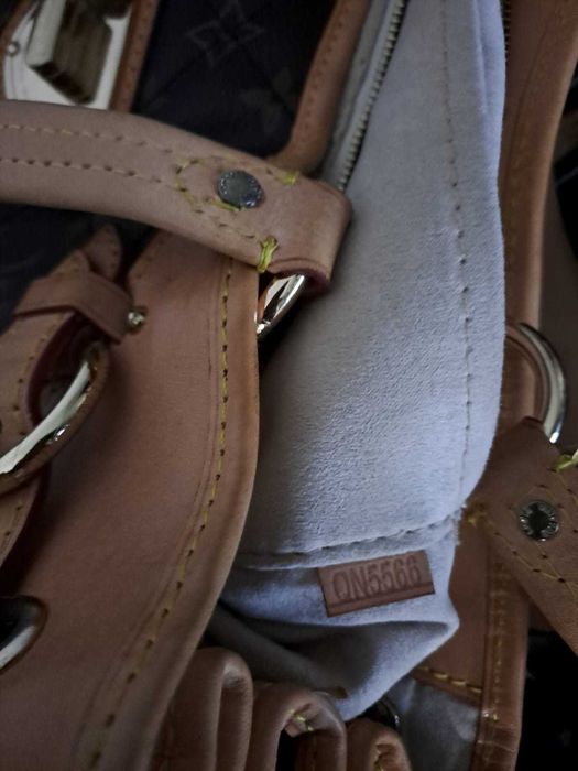 Geanta Louis Vuitton