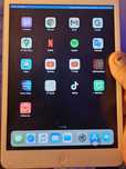 Ipad Mini 2 WiFi only - Car Play